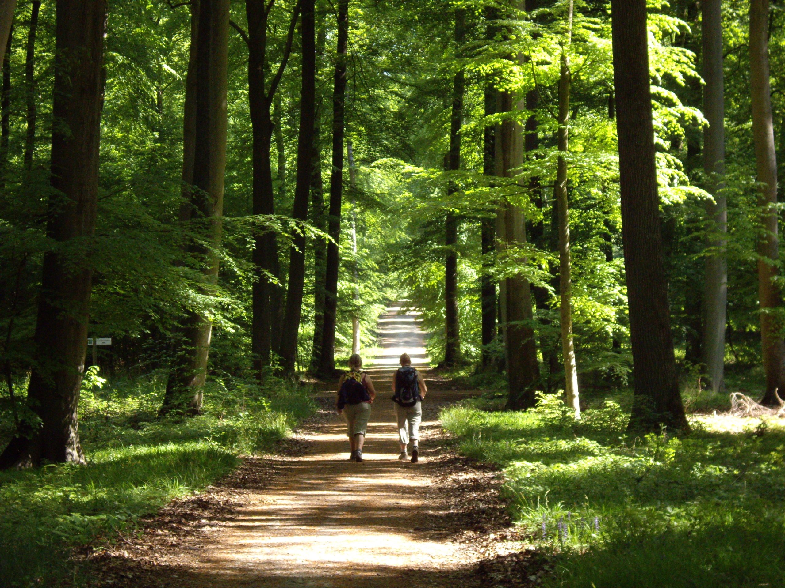 AU COEUR DE LA NATURE